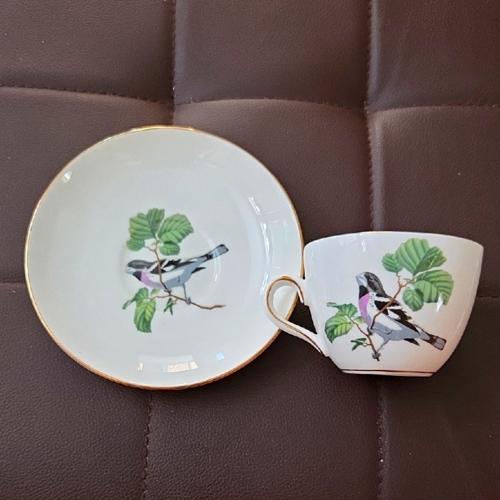 Crown Staffordshire Fine Bone China Cup & Saucer. Rose Breasted Grossbeak